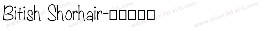 Bitish Shorhair字体转换